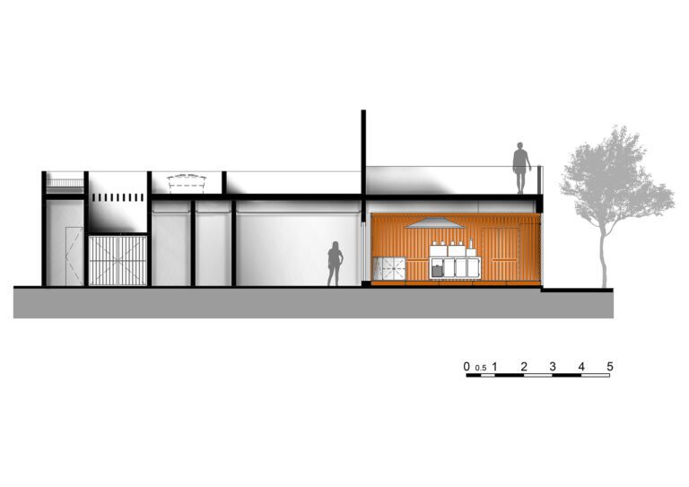 01_03_CORTE LONGITUDINAL