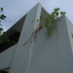 GEDSC DIGITAL CAMERA